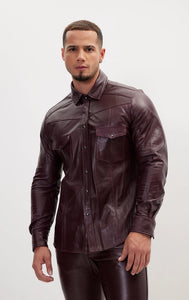 Dominion In Brown